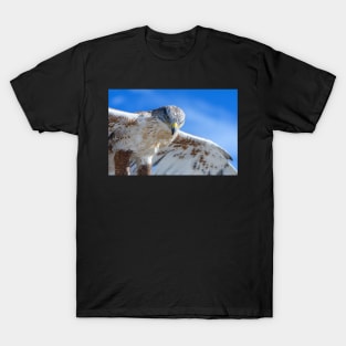 Dreams of Flight T-Shirt